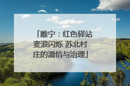 睢宁：红色驿站麦浪闪烁 苏北村庄的温情与治理