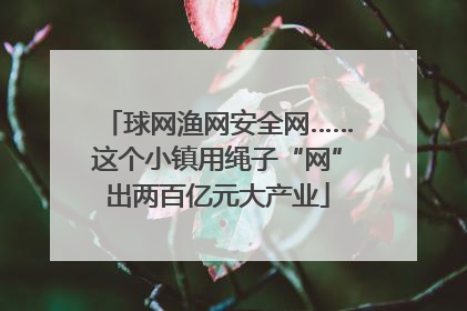 球网渔网安全网……这个小镇用绳子“网”出两百亿元大产业