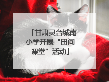 甘肃灵台城南小学开展“田间课堂”活动