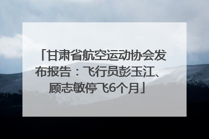 甘肃省航空运动协会发布报告：飞行员彭玉江、顾志敏停飞6个月