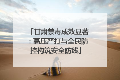 甘肃禁毒成效显著：高压严打与全民防控构筑安全防线
