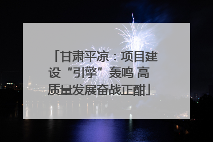 甘肃平凉：项目建设“引擎”轰鸣 高质量发展奋战正酣