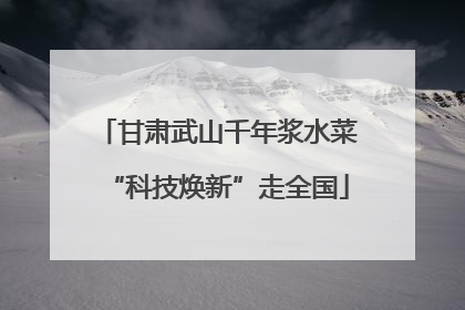 甘肃武山千年浆水菜“科技焕新”走全国
