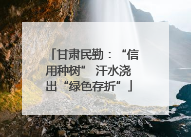 甘肃民勤：“信用种树” 汗水浇出“绿色存折”