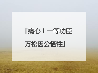 痛心！一等功臣万松因公牺牲