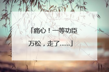 痛心！一等功臣万松，走了……