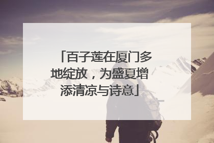 百子莲在厦门多地绽放，为盛夏增添清凉与诗意