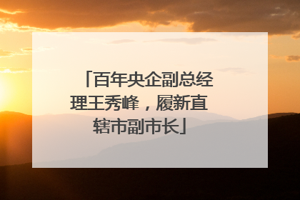 百年央企副总经理王秀峰，履新直辖市副市长
