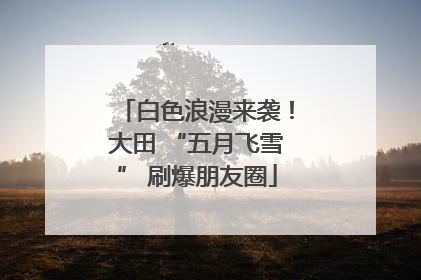 白色浪漫来袭！大田 “五月飞雪” 刷爆朋友圈