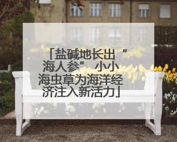 盐碱地长出“海人参” 小小海虫草为海洋经济注入新活力