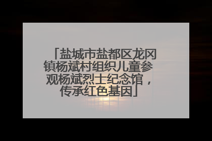 盐城市盐都区龙冈镇杨斌村组织儿童参观杨斌烈士纪念馆，传承红色基因