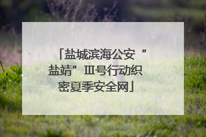 盐城滨海公安“盐靖”Ⅲ号行动织密夏季安全网