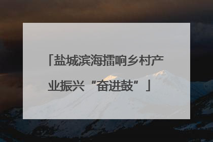 盐城滨海擂响乡村产业振兴“奋进鼓”