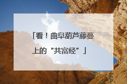 看！曲阜葫芦藤蔓上的“共富经”