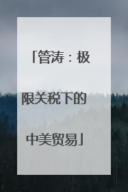 管涛：极限关税下的中美贸易