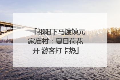 祁阳下马渡镇元家庙村：夏日荷花开 游客打卡热