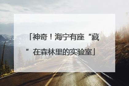 神奇！海宁有座“藏”在森林里的实验室