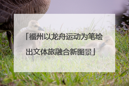 福州以龙舟运动为笔绘出文体旅融合新图景
