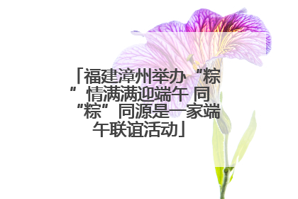 福建漳州举办“粽”情满满迎端午 同“粽”同源是一家端午联谊活动