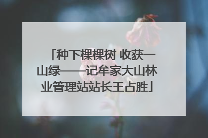 种下棵棵树 收获一山绿——记牟家大山林业管理站站长王占胜