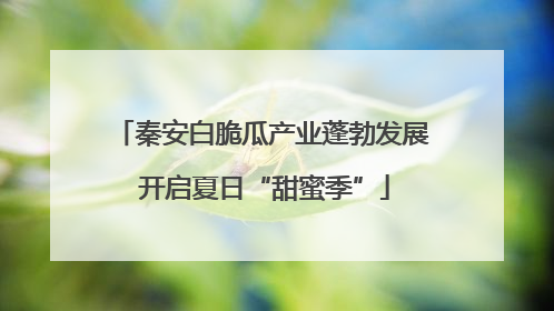 秦安白脆瓜产业蓬勃发展 开启夏日“甜蜜季”