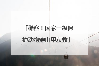 稀客！国家一级保护动物穿山甲获救