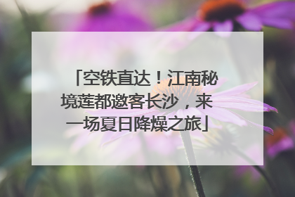 空铁直达！江南秘境莲都邀客长沙，来一场夏日降燥之旅