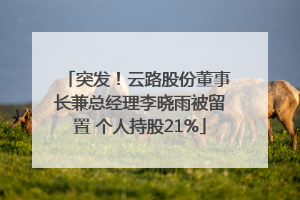 突发！云路股份董事长兼总经理李晓雨被留置 个人持股21%