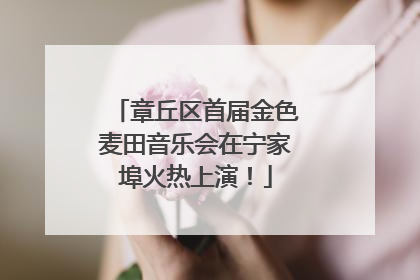 章丘区首届金色麦田音乐会在宁家埠火热上演！