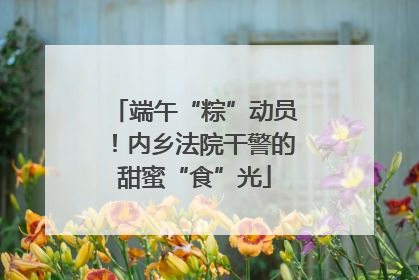端午“粽”动员！内乡法院干警的甜蜜“食”光