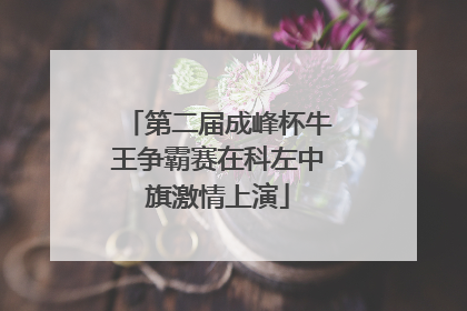 第二届成峰杯牛王争霸赛在科左中旗激情上演