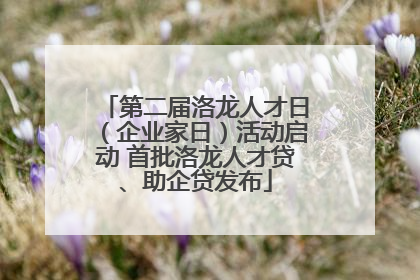 第二届洛龙人才日（企业家日）活动启动 首批洛龙人才贷、助企贷发布