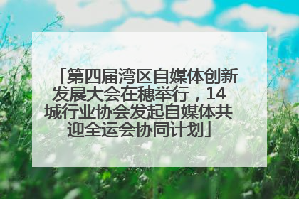第四届湾区自媒体创新发展大会在穗举行，14城行业协会发起自媒体共迎全运会协同计划
