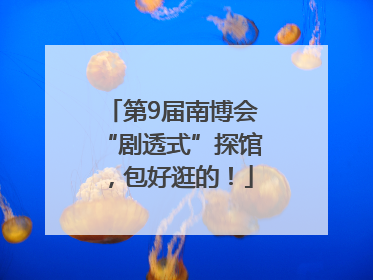 第9届南博会“剧透式”探馆，包好逛的！