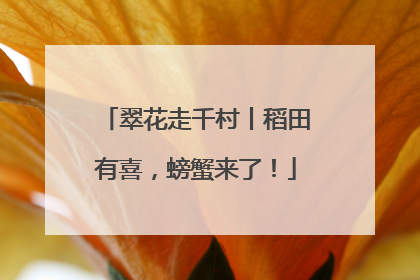 翠花走千村丨稻田有喜，螃蟹来了！