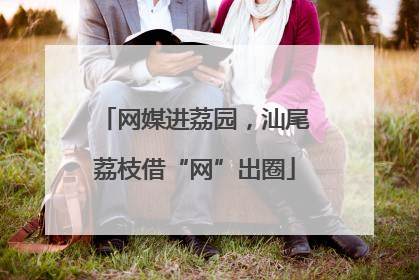 网媒进荔园，汕尾荔枝借“网”出圈