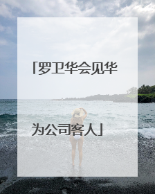 罗卫华会见华为公司客人