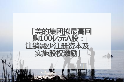 美的集团拟最高回购100亿元A股：注销减少注册资本及实施股权激励