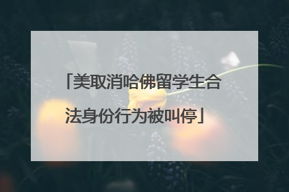 美取消哈佛留学生合法身份行为被叫停