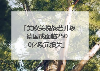 美欧关税战若升级 德国或面临2500亿欧元损失