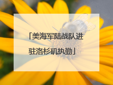 美海军陆战队进驻洛杉矶执勤