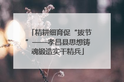 精耕细育促“拔节”——孝昌县思想铸魂锻造实干精兵