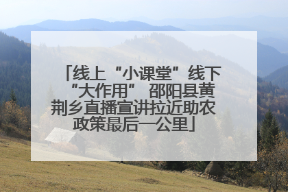 线上“小课堂”线下“大作用” 邵阳县黄荆乡直播宣讲拉近助农政策最后一公里