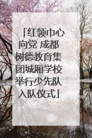 红领巾心向党 成都树德教育集团城厢学校举行少先队入队仪式