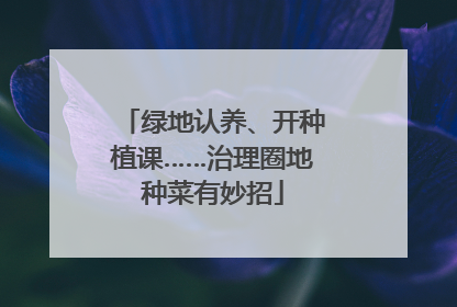 绿地认养、开种植课……治理圈地种菜有妙招