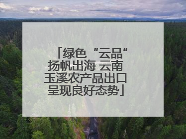 绿色“云品”扬帆出海 云南玉溪农产品出口呈现良好态势