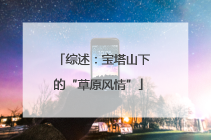 综述：宝塔山下的“草原风情”
