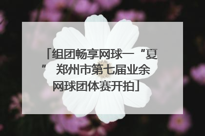 组团畅享网球一“夏” 郑州市第七届业余网球团体赛开拍