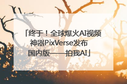 终于！全球爆火AI视频神器PixVerse发布国内版——拍我AI