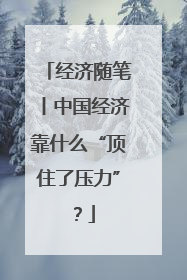 经济随笔丨中国经济靠什么“顶住了压力”？